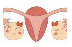 ˮӹ